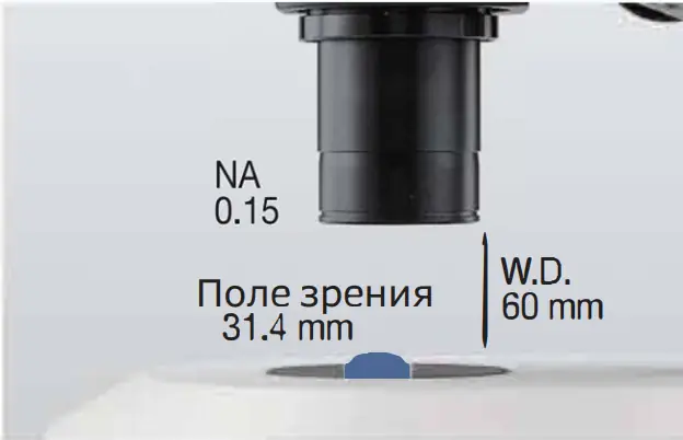 nsz818-4