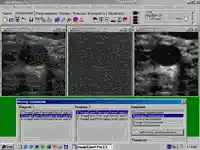 ImageExpert Pro